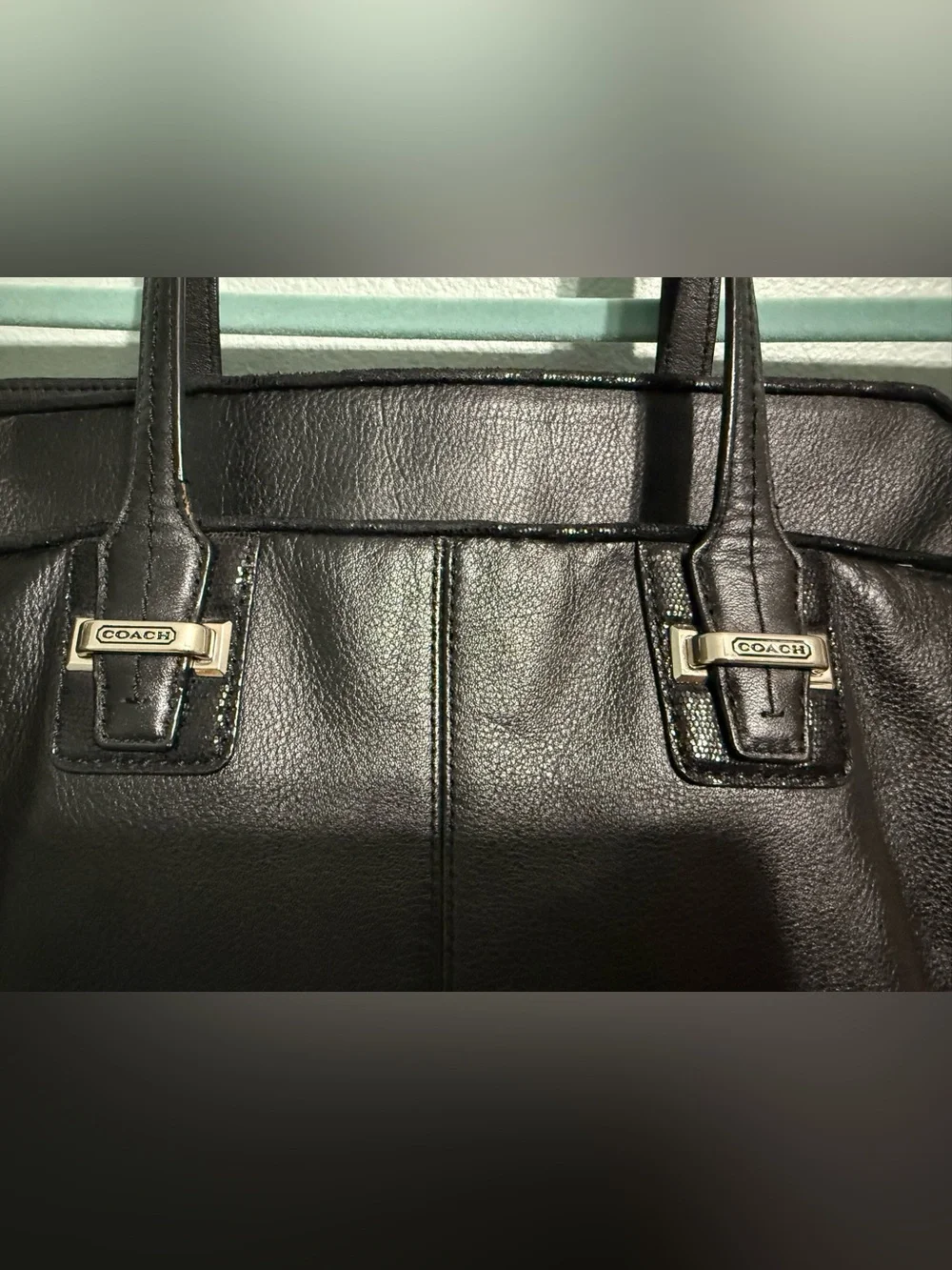Authentic Coach Taylor Leather North/South Tote Bag Black F25941
